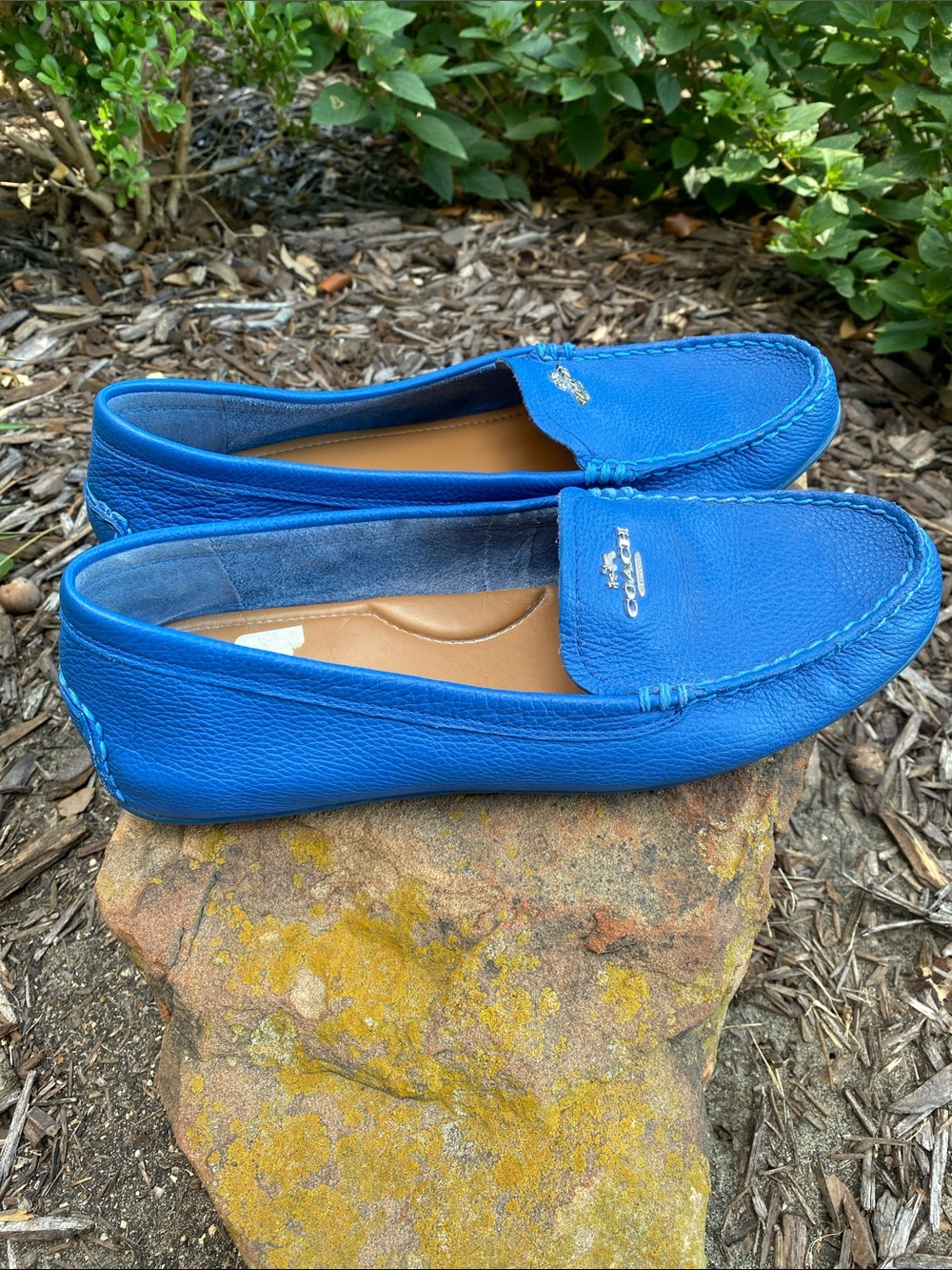 Coach Mary Lockup Blue Leather Flats - Picture 11 of 16